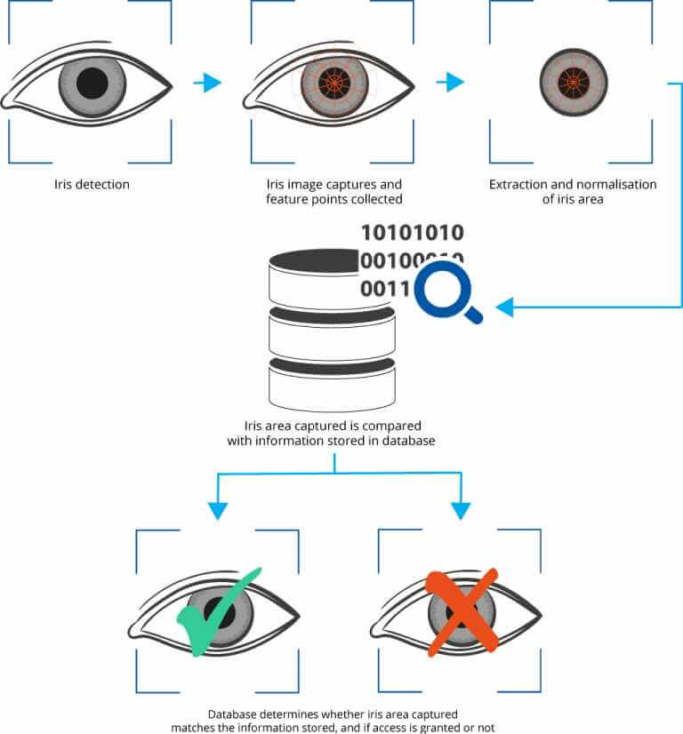 Iris recognition and retinal scans are not the same - Iris ID