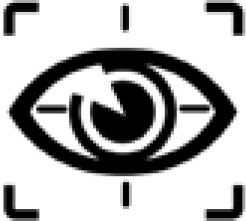 iris-icon