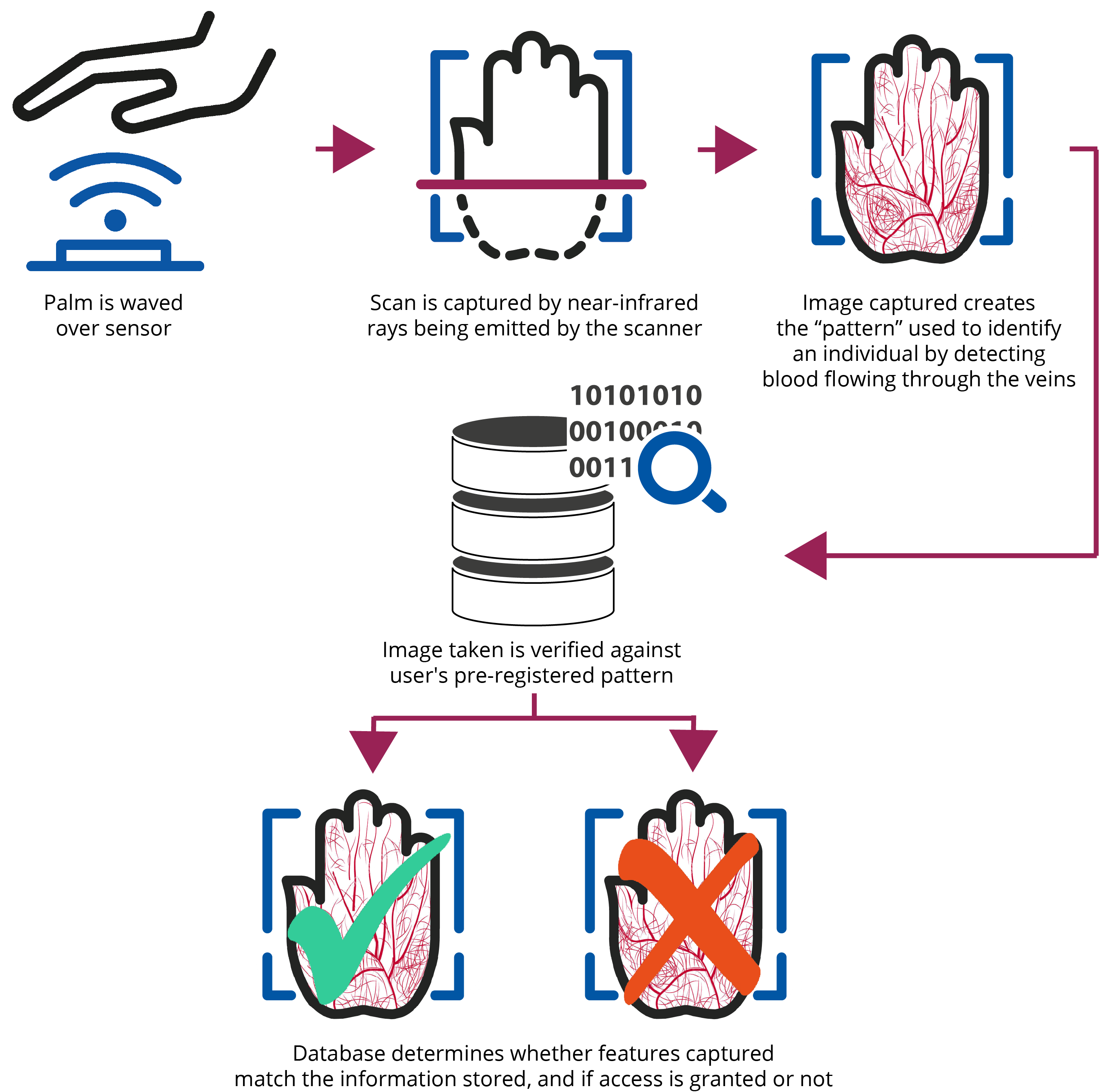 benefits of palm vein | TrueID